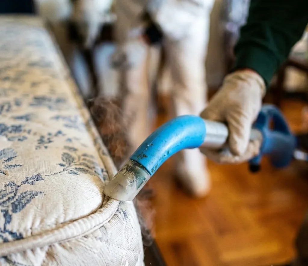 How to Deal With a Wasp Nest in Mount Pleasant, SC