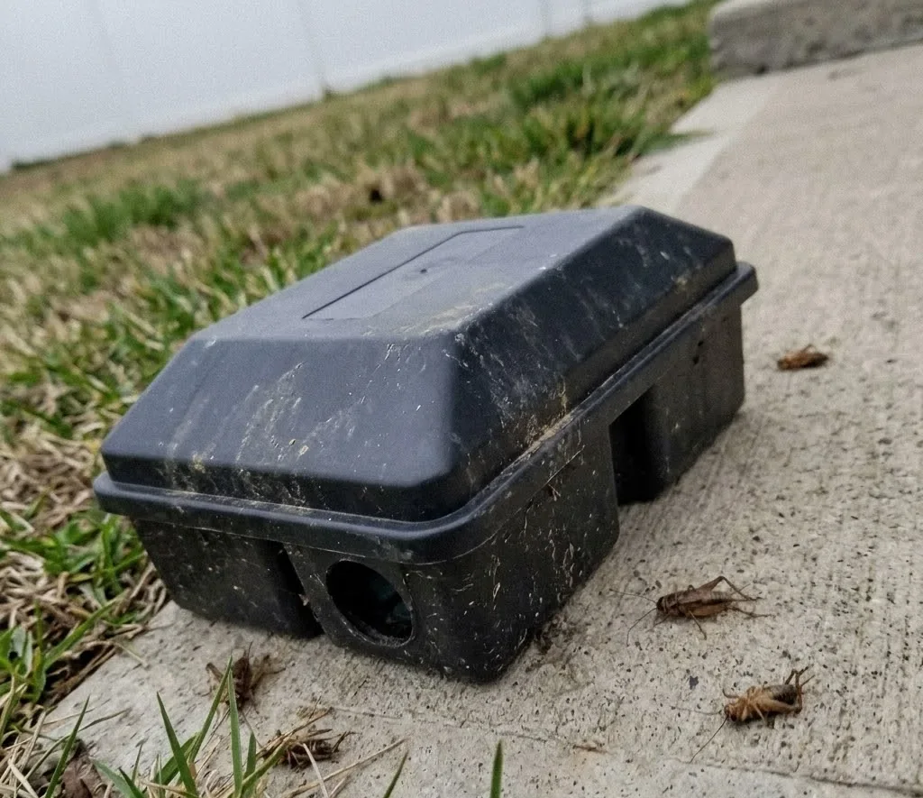 Yard and Lawn Pest Control service in Mount Pleasant, SC