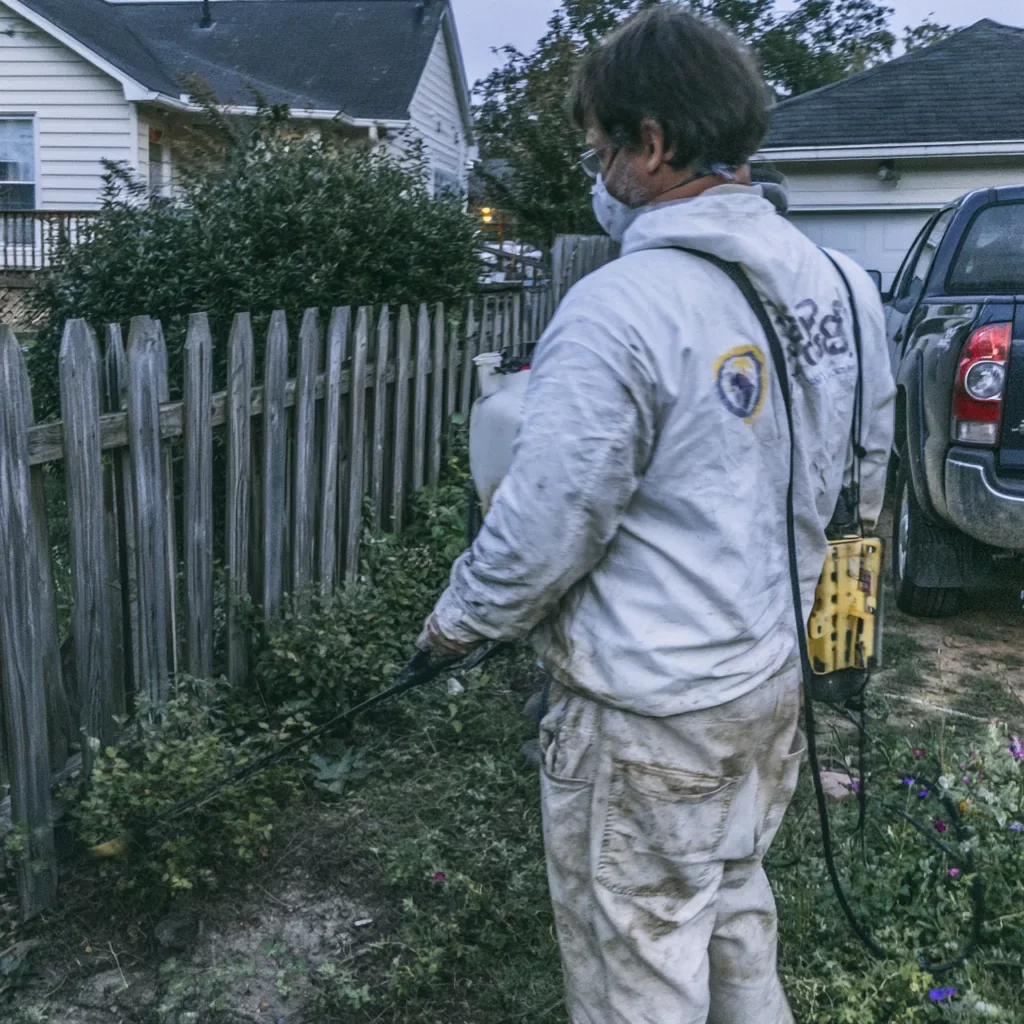 Attic Insulation Removal and Replacement in Mount Pleasant