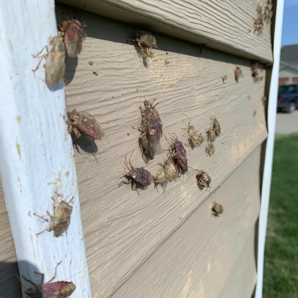 Retail & Grocery pest control in Mount Pleasant, SC